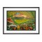 Home Park Stadium Fine Art Print - Plymouth Argyle FC